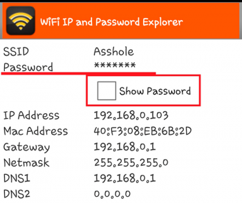 Показать пароль в приложении Password Explorer